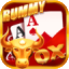teen patti navab icon