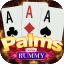 rummy ares 51